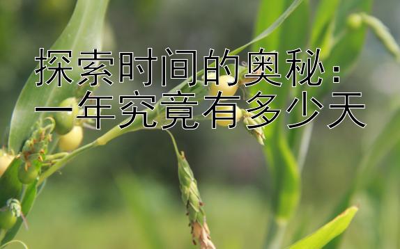 探索时间的奥秘：一年究竟有多少天