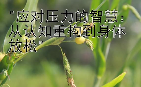 应对压力的智慧：从认知重构到身体放松