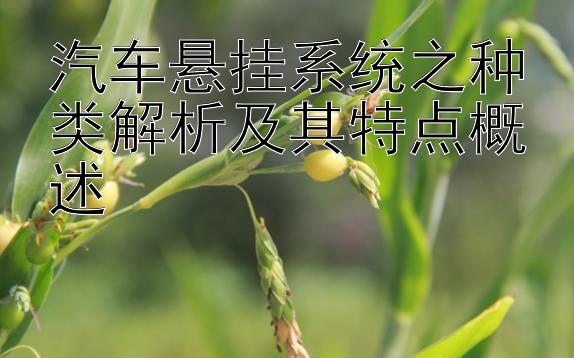 汽车悬挂系统之种类解析及其特点概述