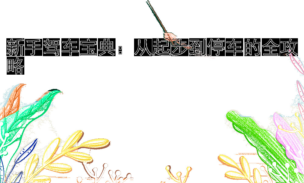 新手驾车宝典：从起步到停车的全攻略