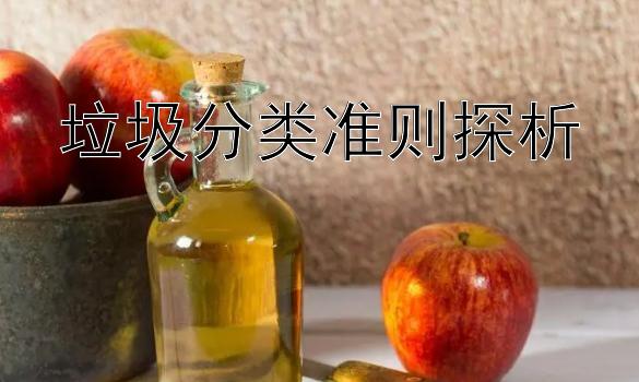 垃圾分类准则探析