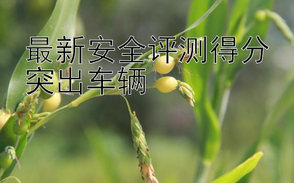 最新安全评测得分突出车辆