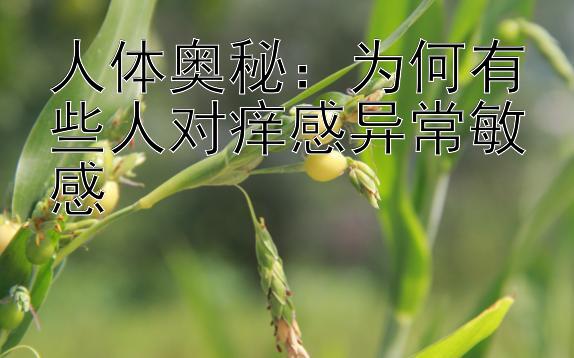 人体奥秘：为何有些人对痒感异常敏感