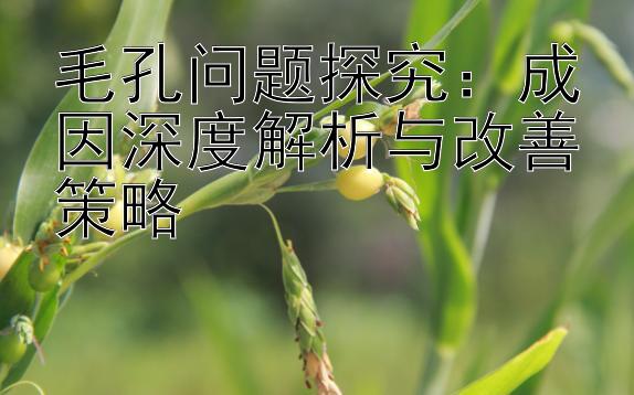 毛孔问题探究：成因深度解析与改善策略