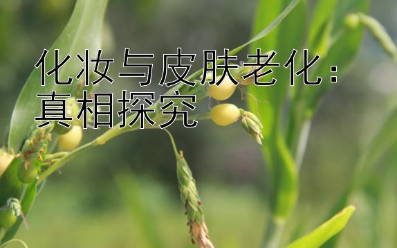 化妆与皮肤老化：真相探究