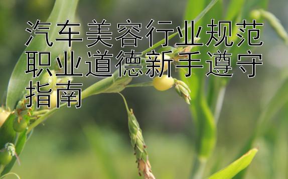 汽车美容行业规范职业道德新手遵守指南