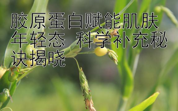 胶原蛋白赋能肌肤年轻态 科学补充秘诀揭晓