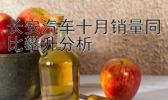 长安汽车十月销量同比攀升分析