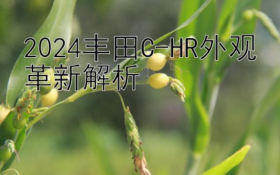 2024丰田C-HR外观革新解析