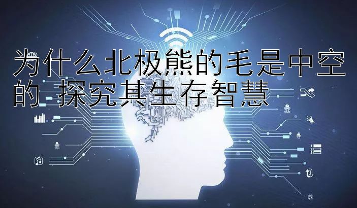 为什么北极熊的毛是中空的 探究其生存智慧