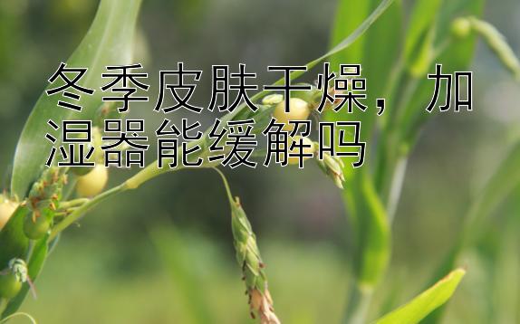 冬季皮肤干燥，加湿器能缓解吗