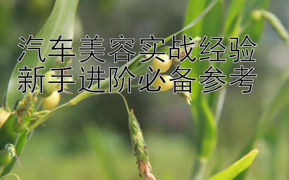 汽车美容实战经验 新手进阶必备参考